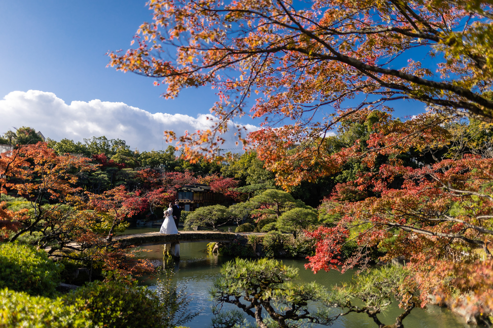 庭園　橋