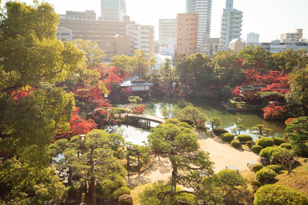 相楽園