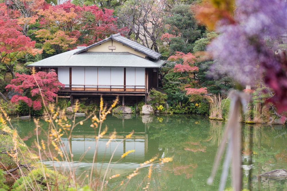 紅葉