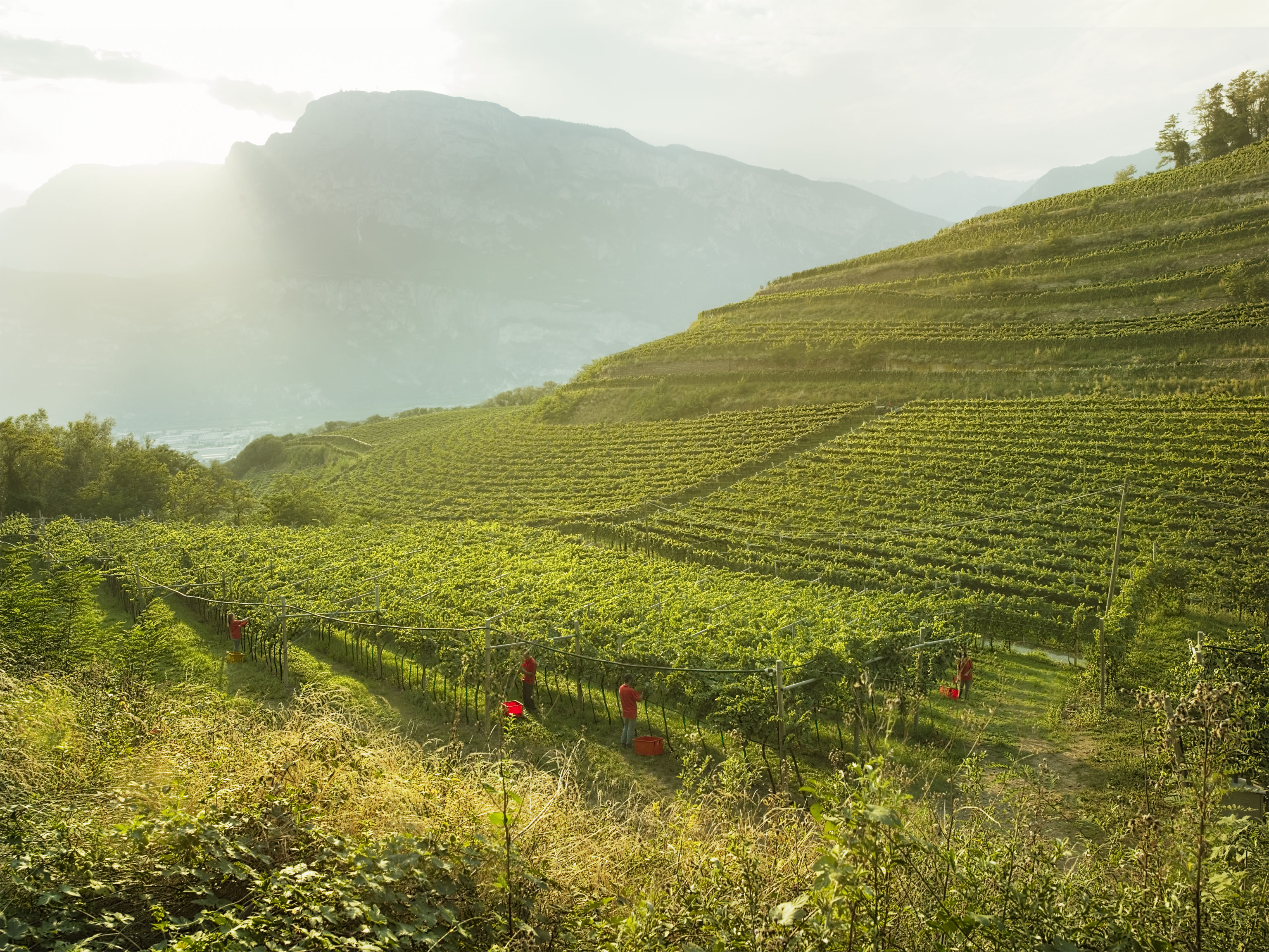 相楽園　Ferrariメーカーズディナー 
